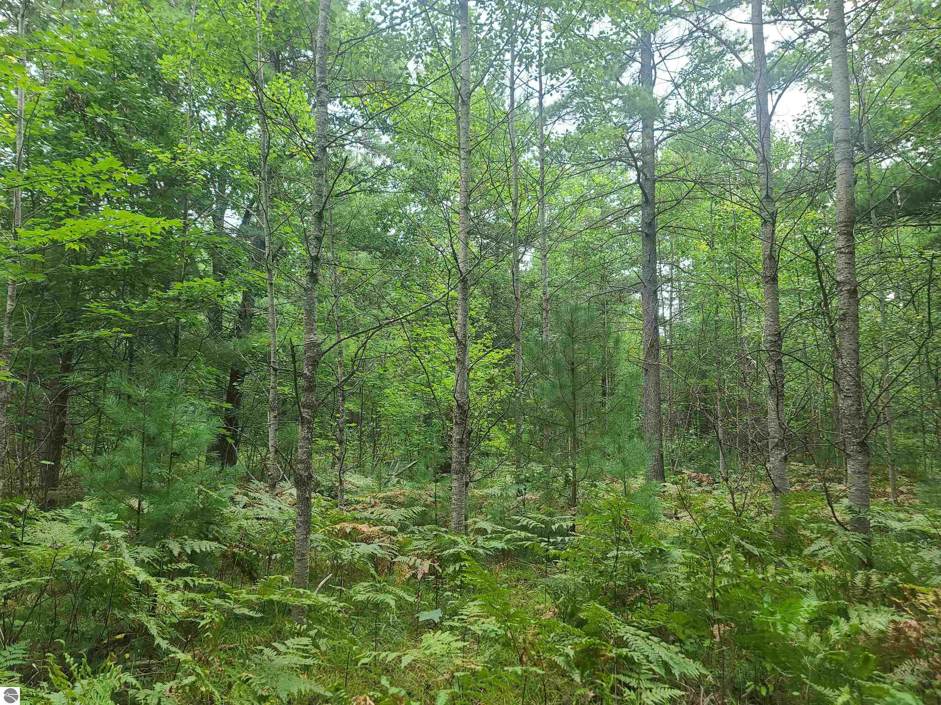 2513 NW Smith Lake Road