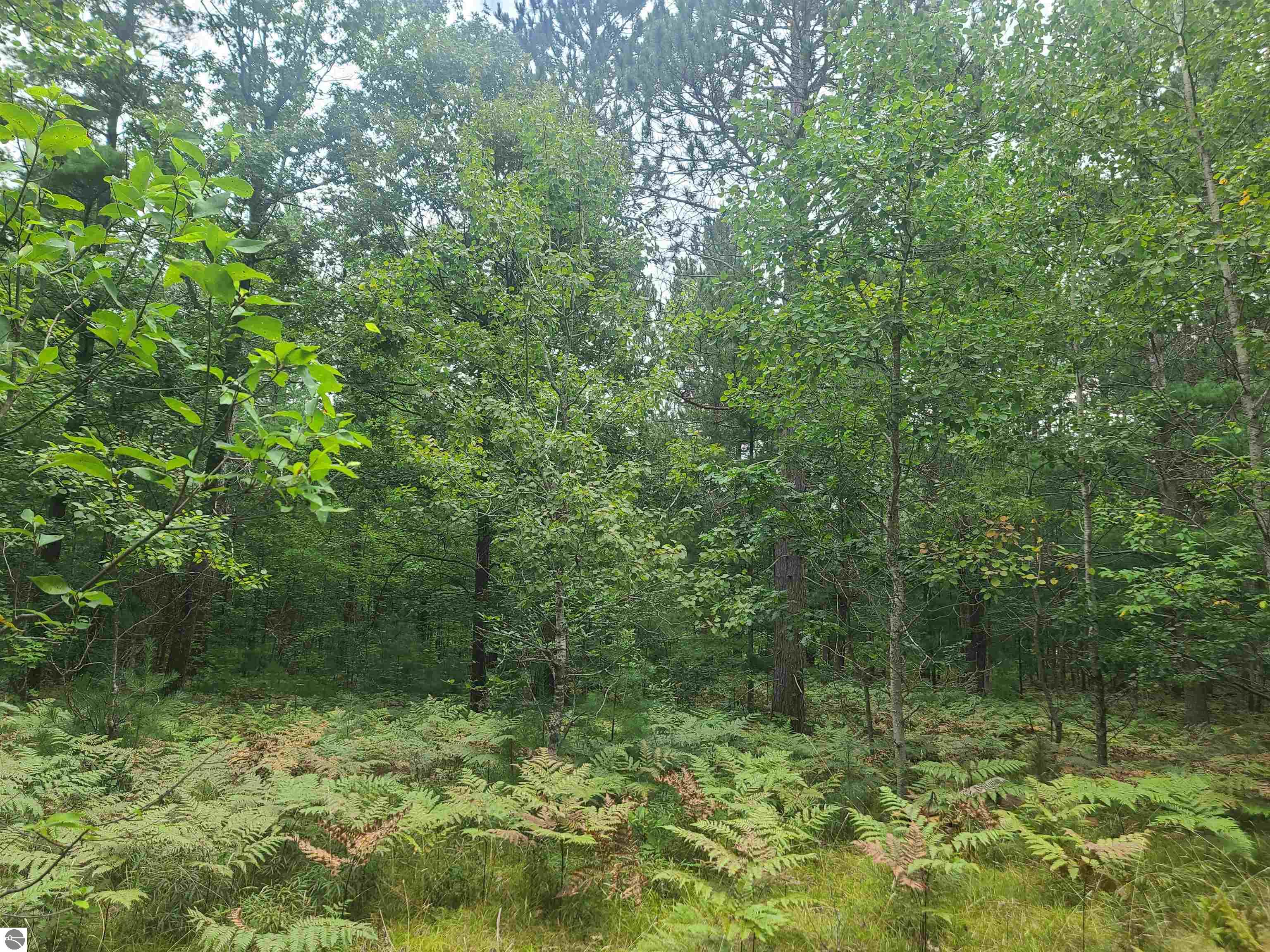2513 NW Smith Lake Road