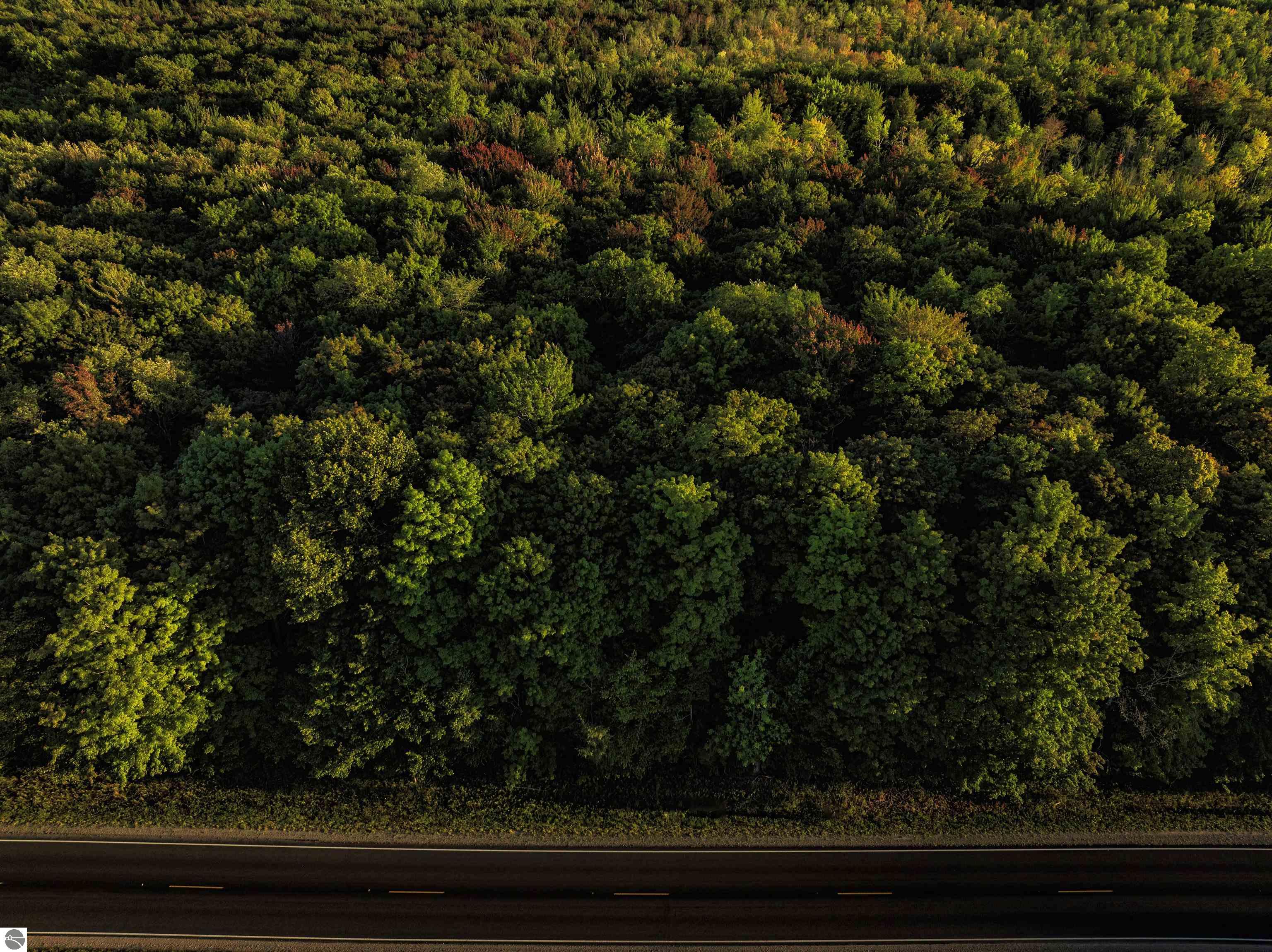 00 Fall Road