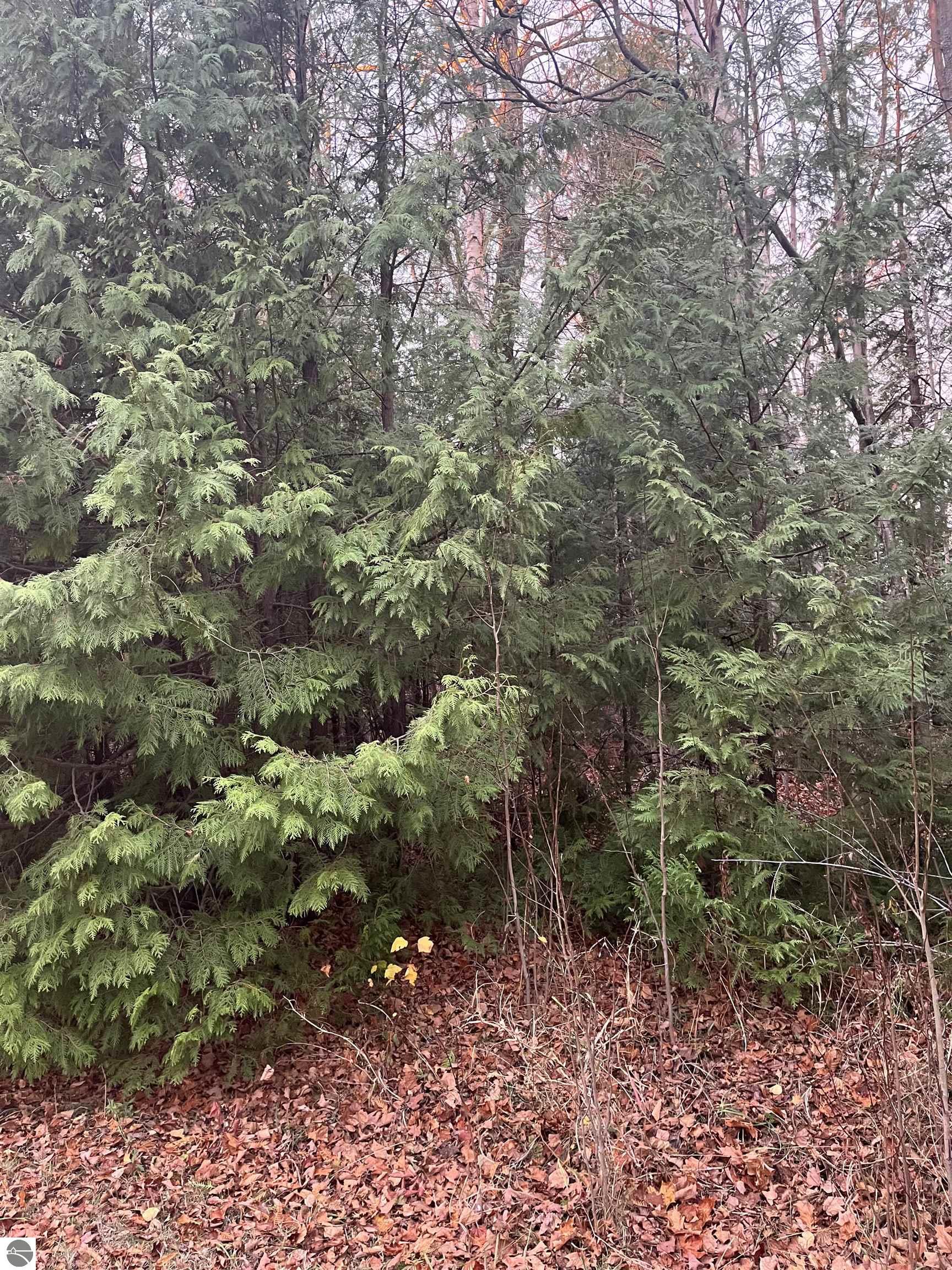 0 N Forest Beach Shores