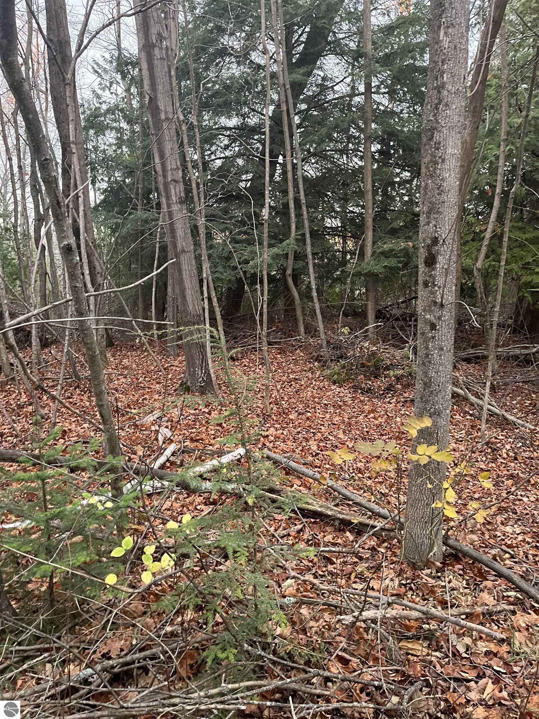 0 N Forest Beach Shores