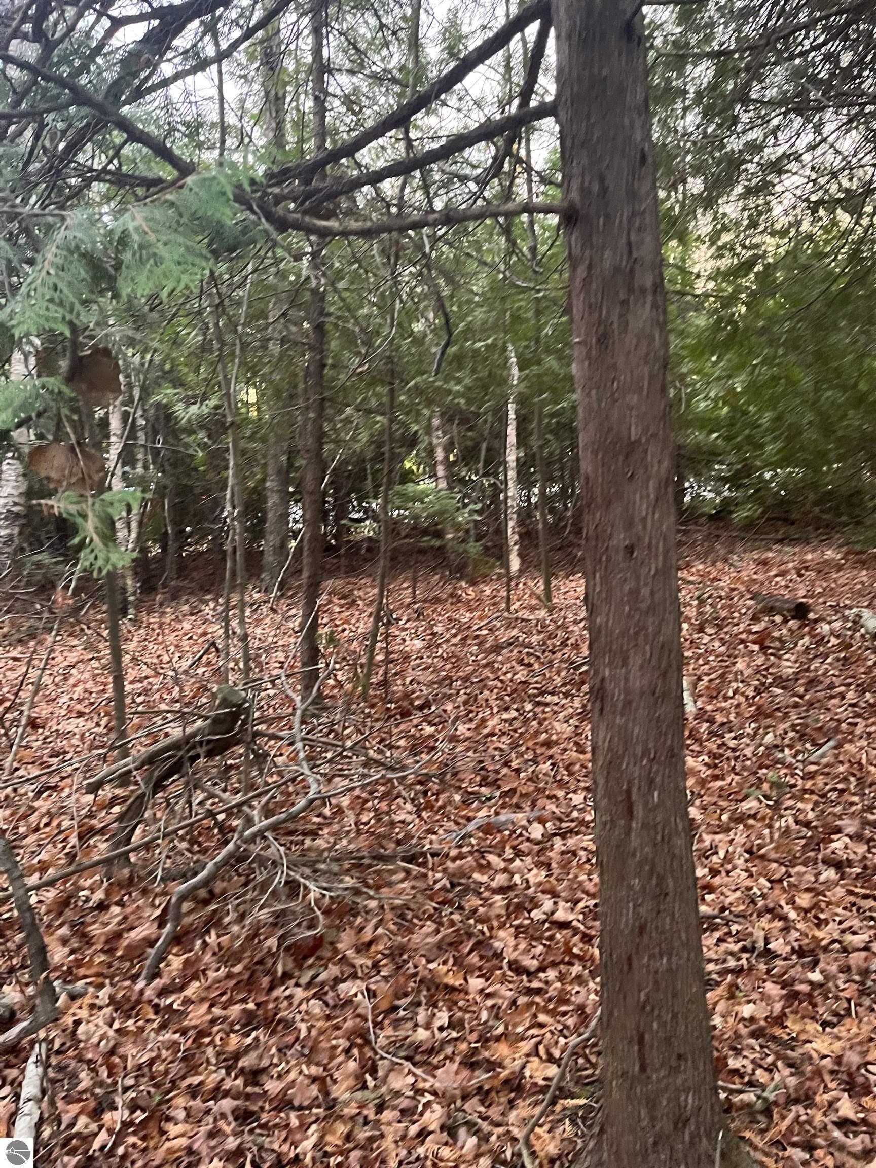 0 N Forest Beach Shores