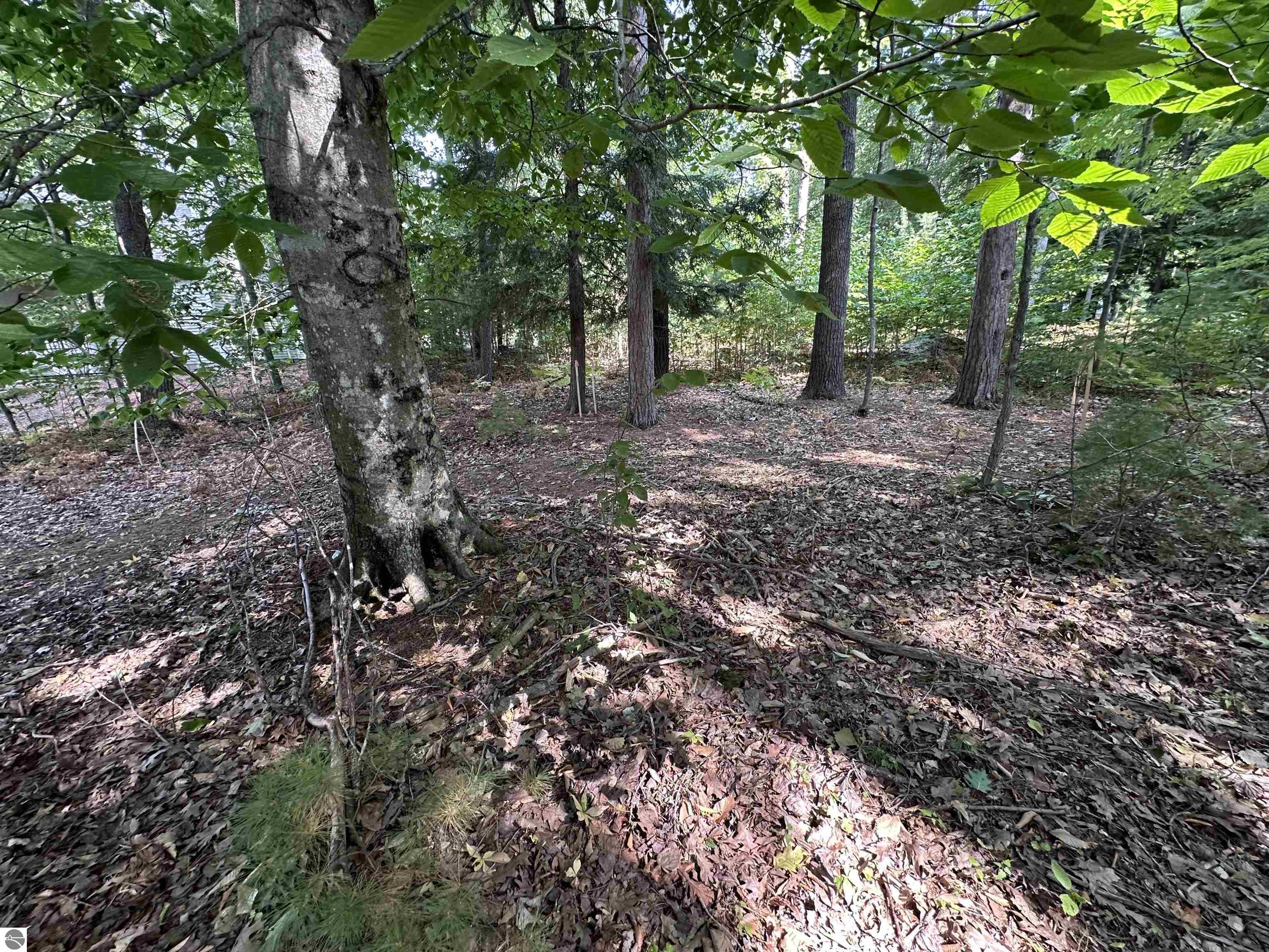 10 Deer Park
