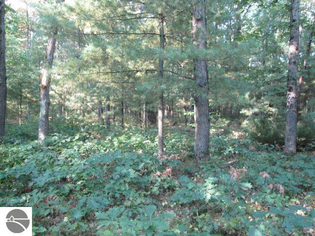 Lot 137&138 Tabor Avenue