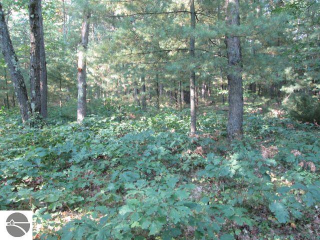 Lot 137&138 Tabor Avenue