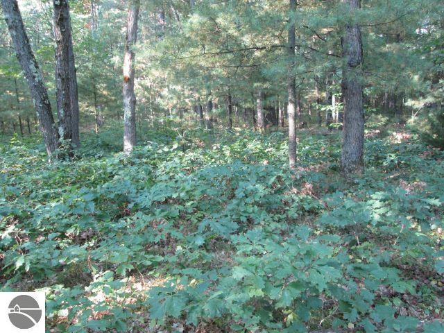 Lot 137&138 Tabor Avenue