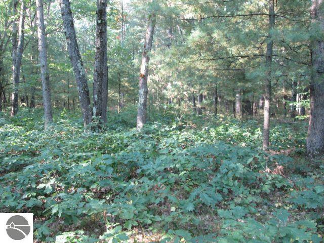 Lot 137&138 Tabor Avenue