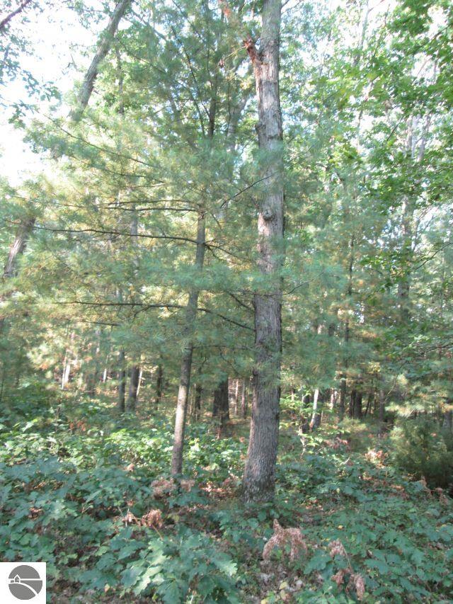Lot 137&138 Tabor Avenue