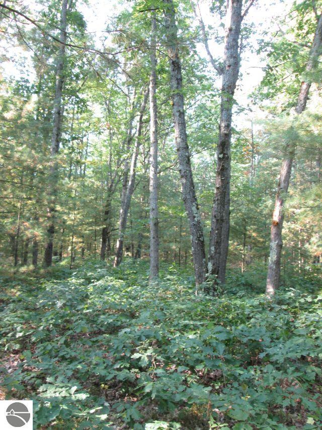 Lot 137&138 Tabor Avenue