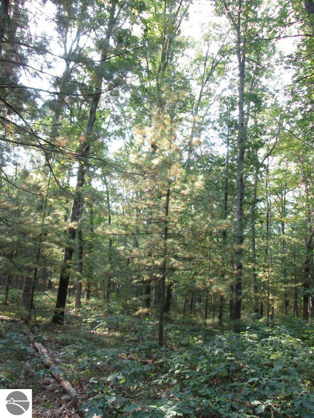 Lot 137&138 Tabor Avenue