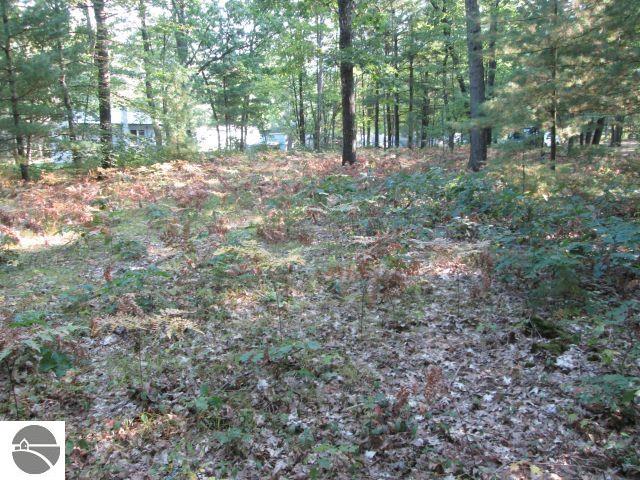 Lot 137&138 Tabor Avenue