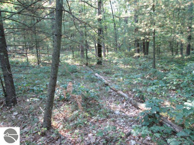 Lot 137&138 Tabor Avenue