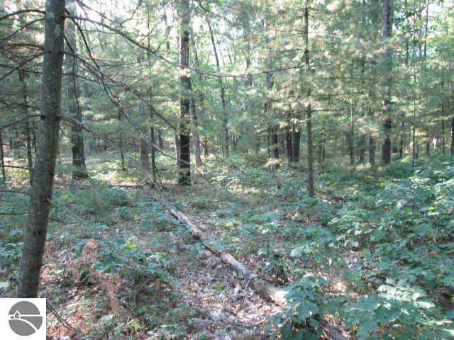 Lot 137&138 Tabor Avenue