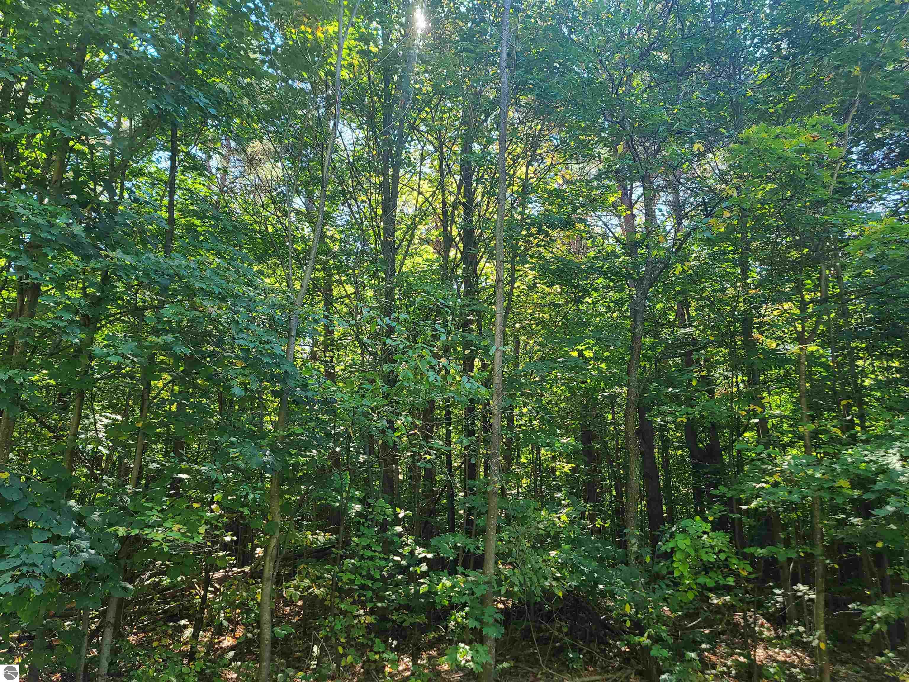 7530 Woodridge Acres