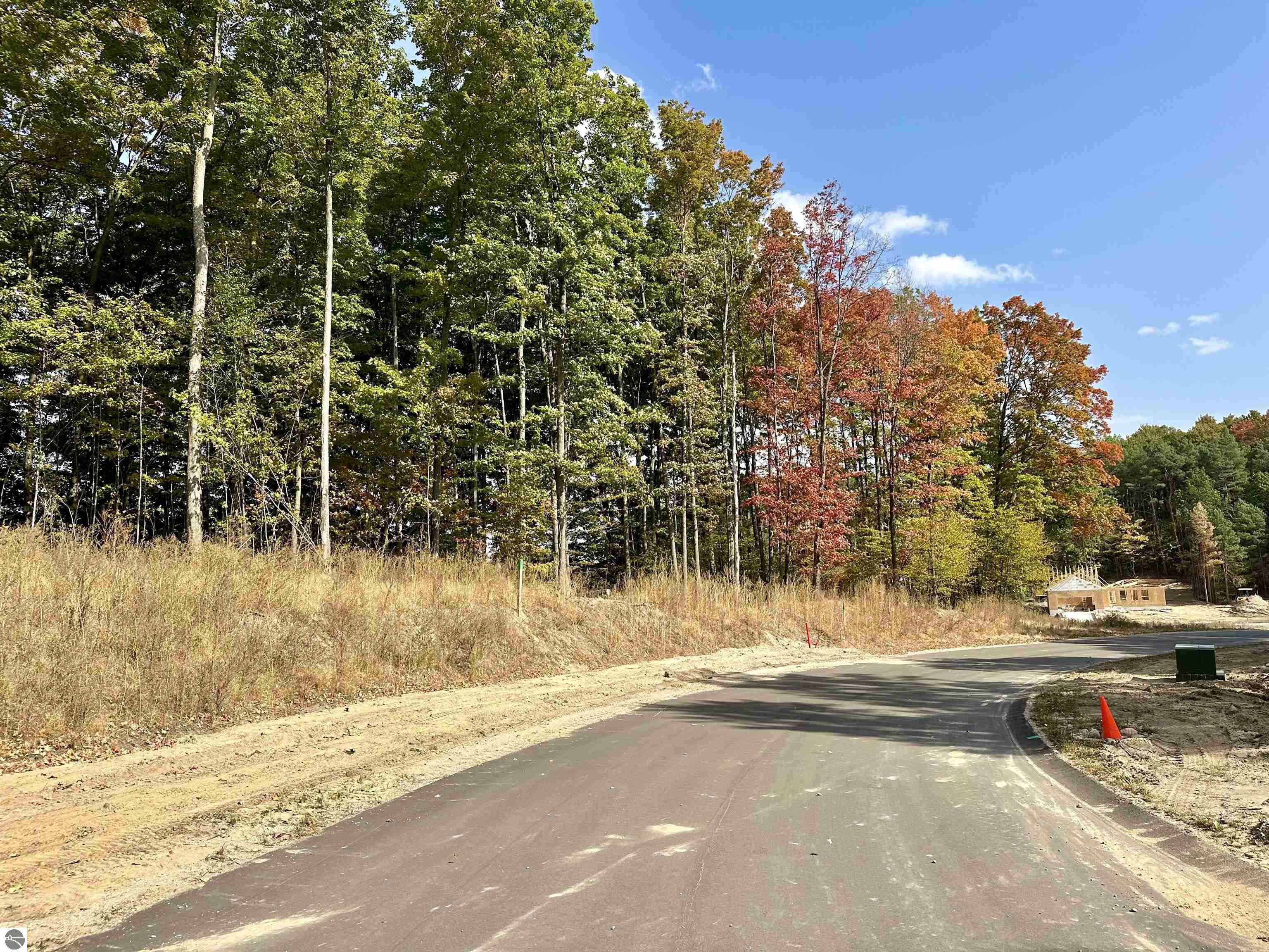 1146 Farmington Drive