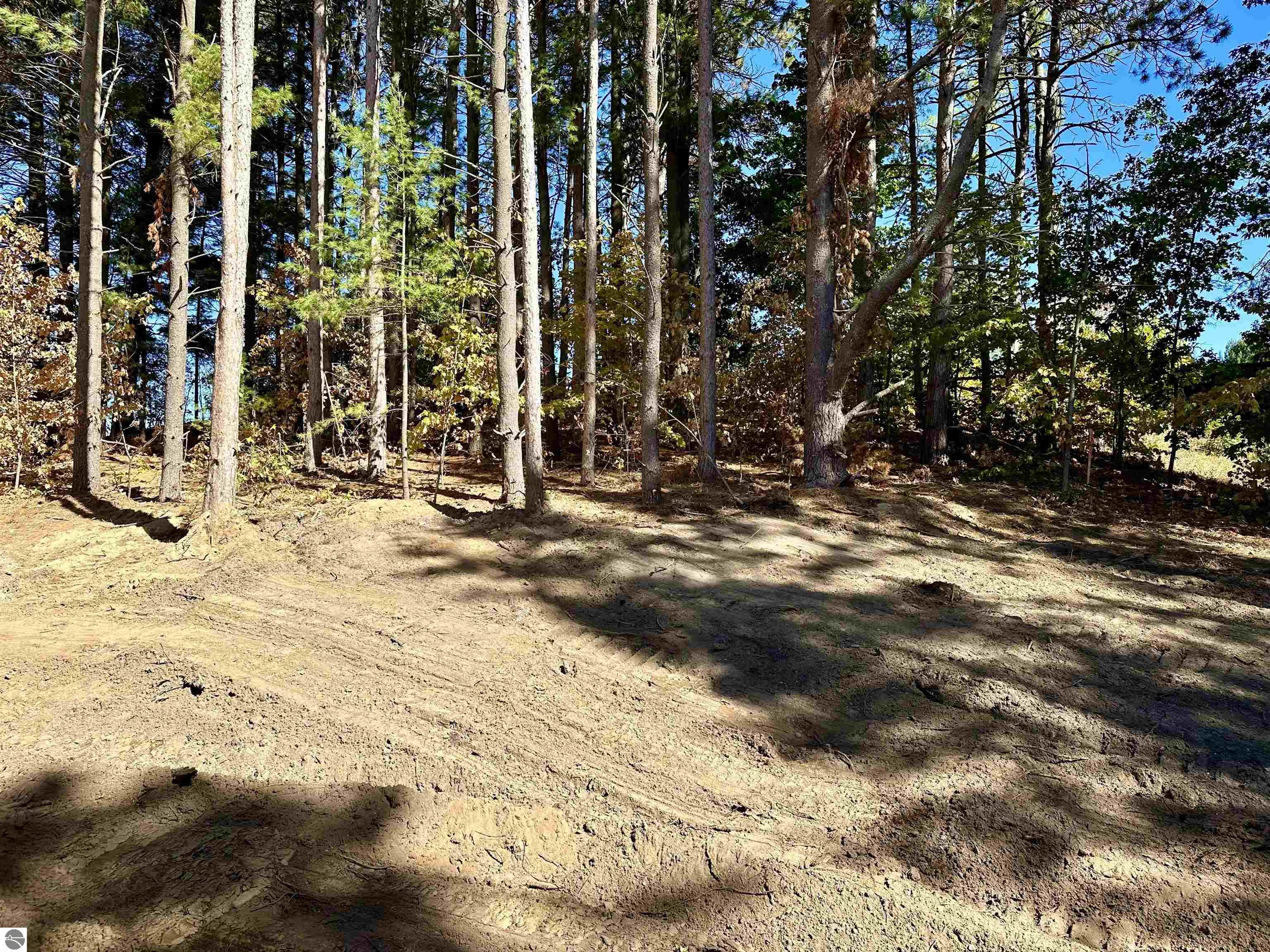 1146 Farmington Drive