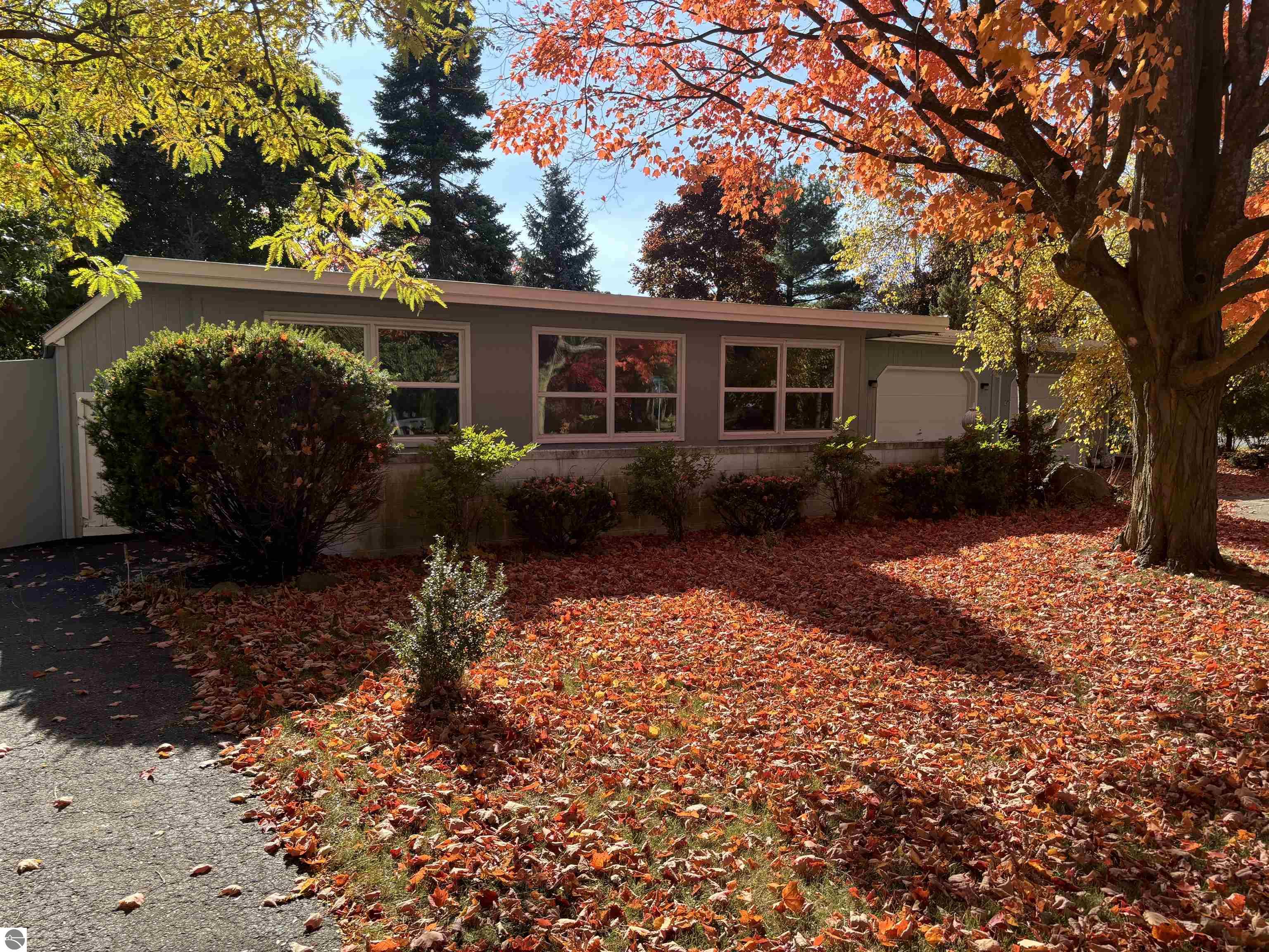 3776 Vista Park