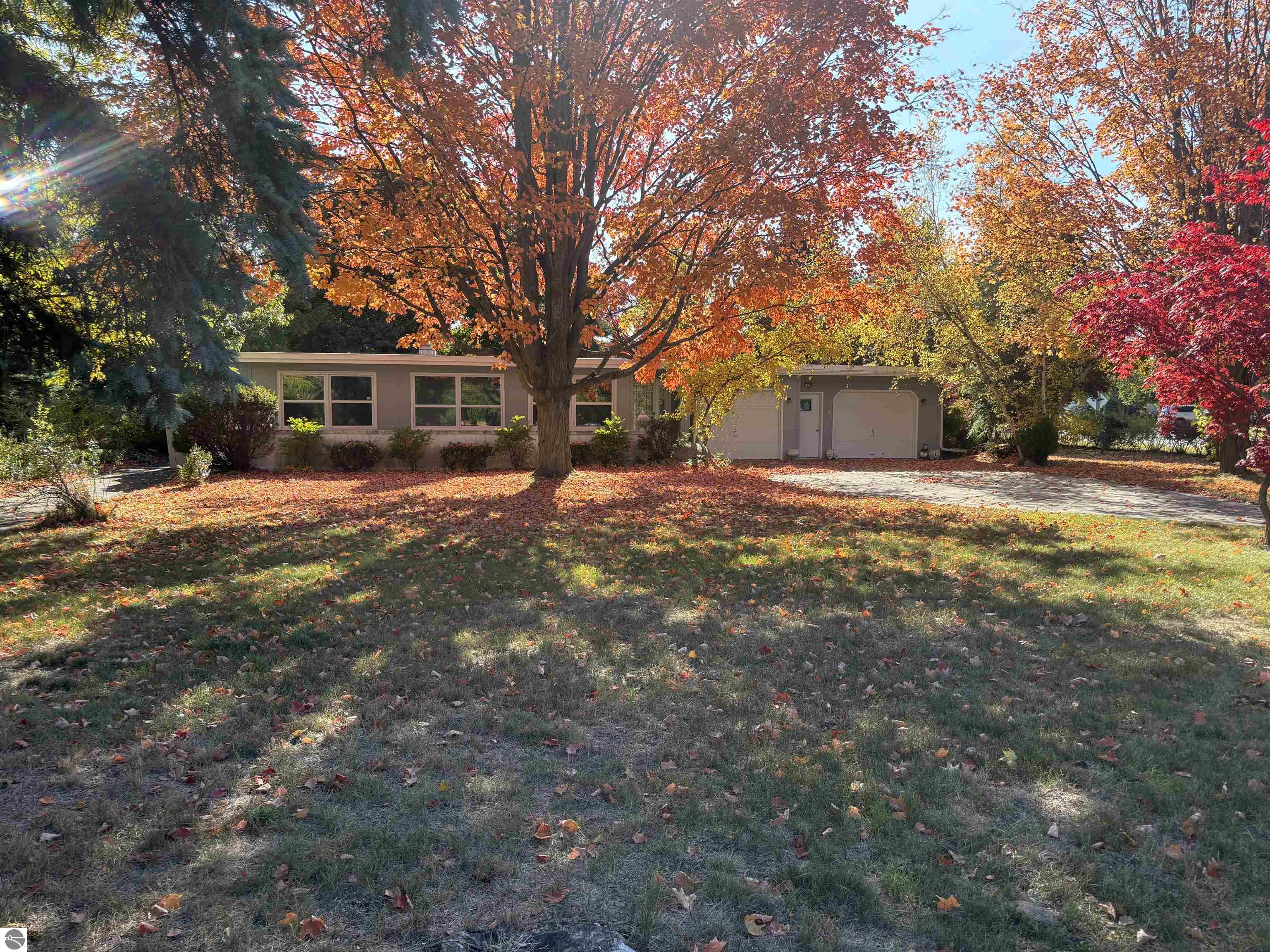 3776 Vista Park