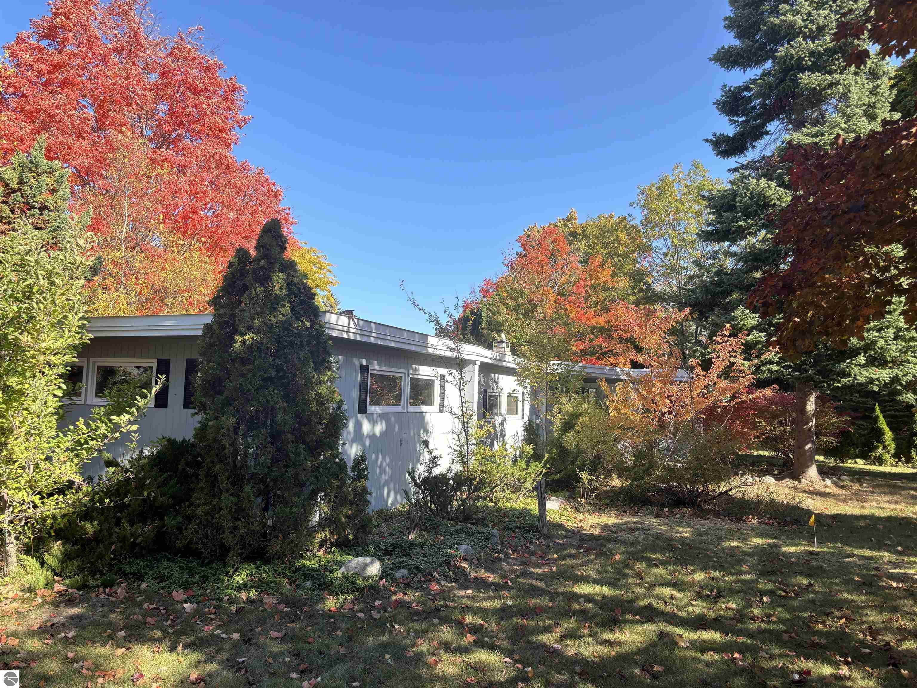 3776 Vista Park