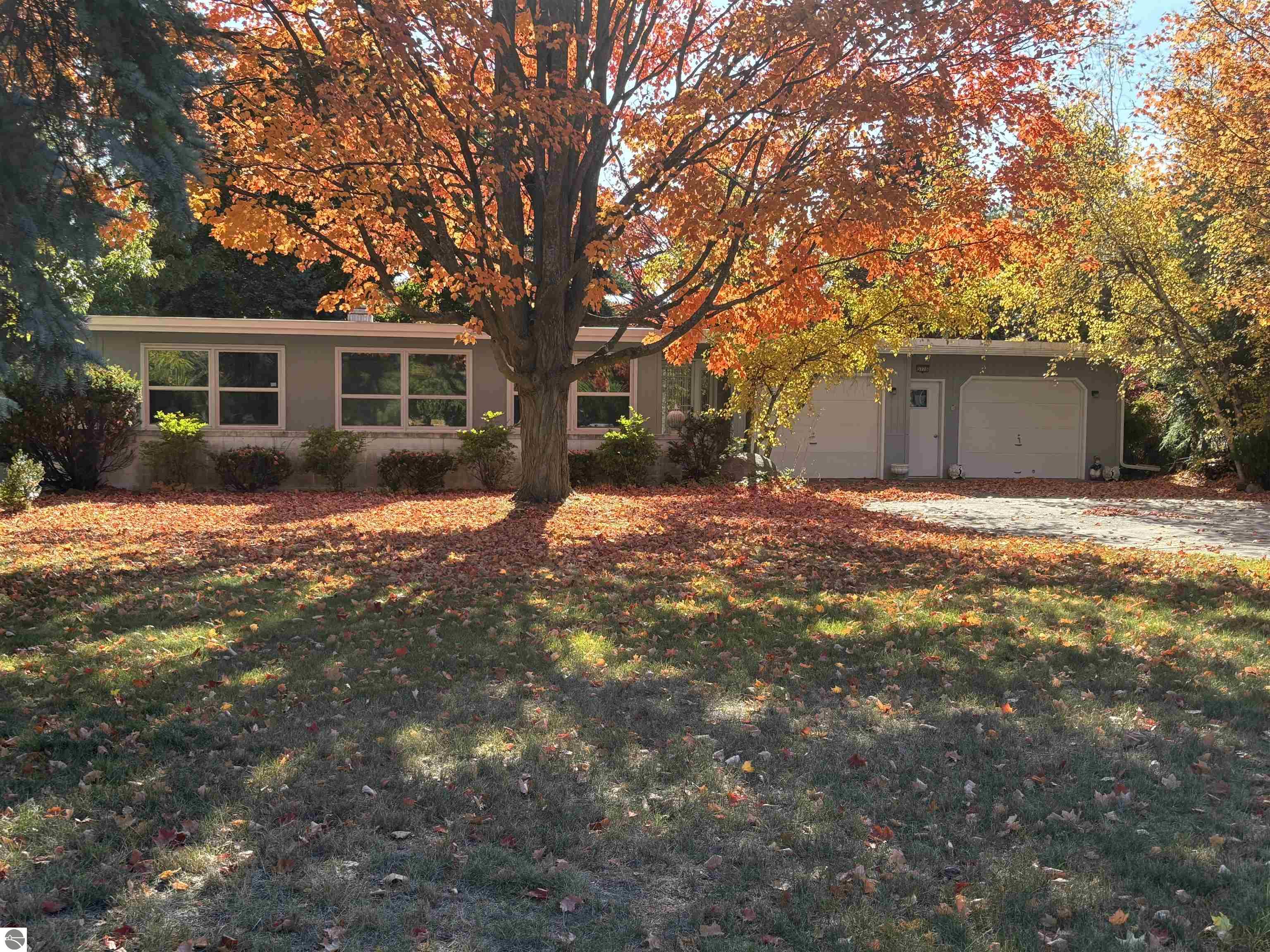 3776 Vista Park