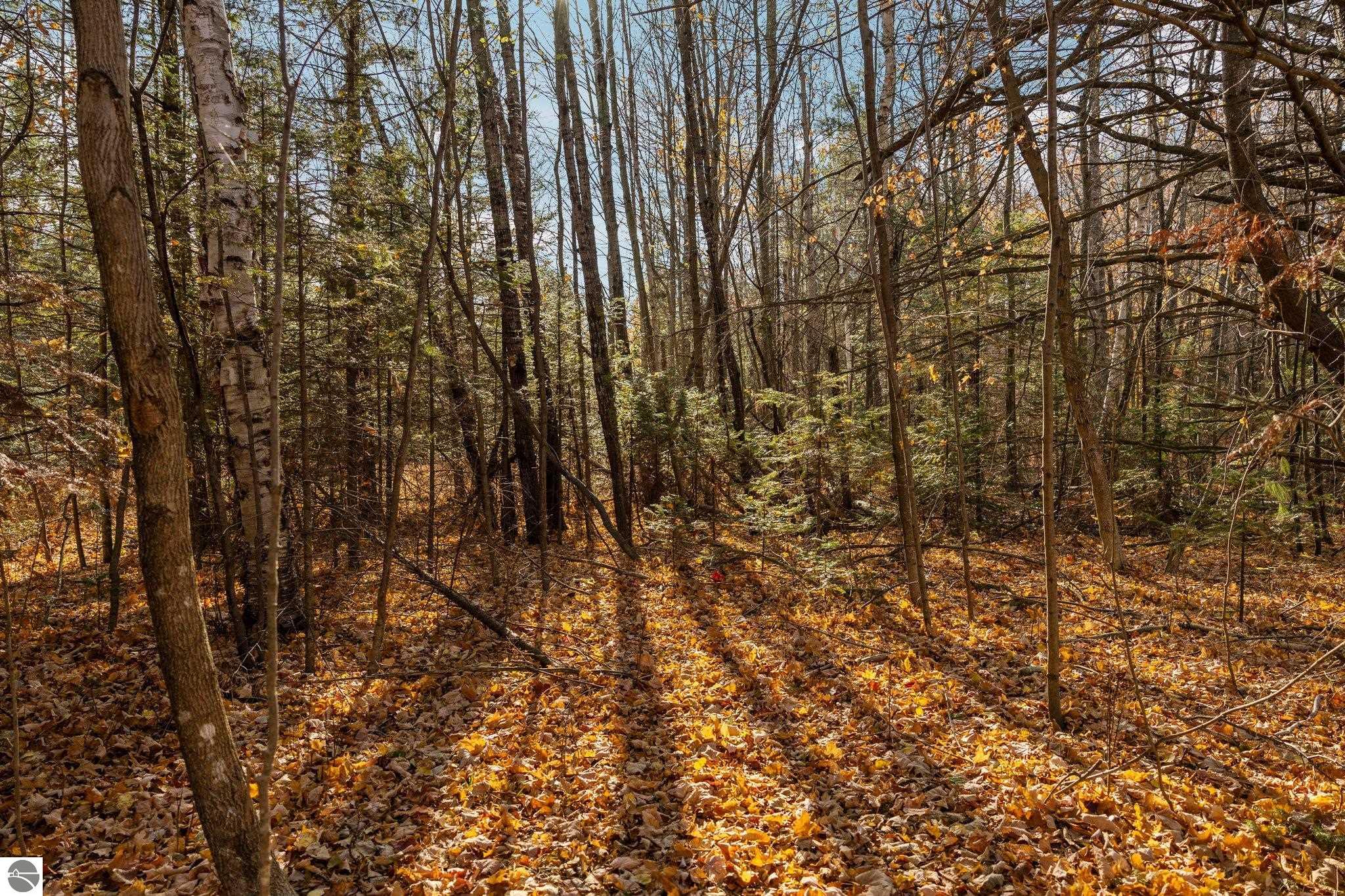 00 Manitou Trail