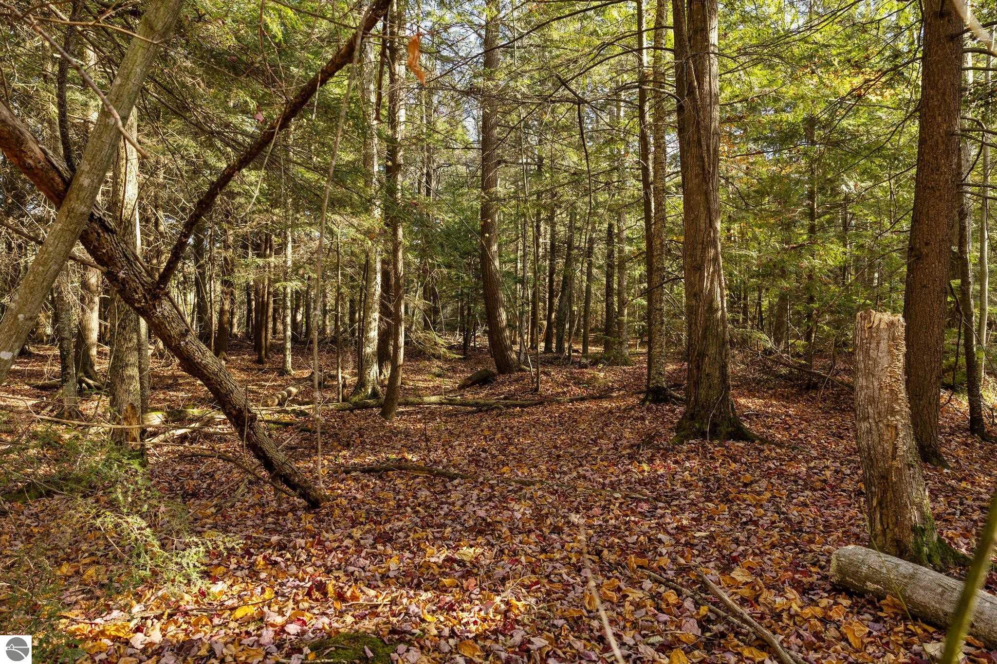 00 Manitou Trail