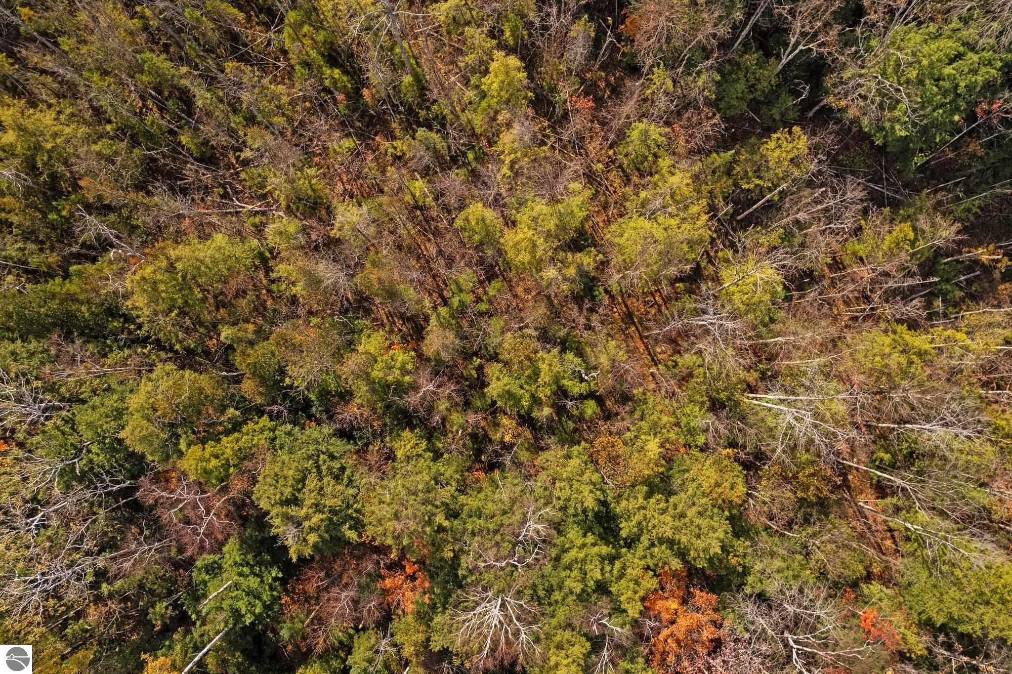 00 Manitou Trail