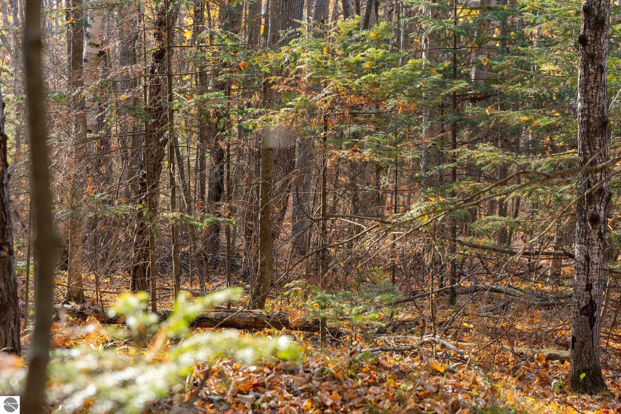 00 Manitou Trail