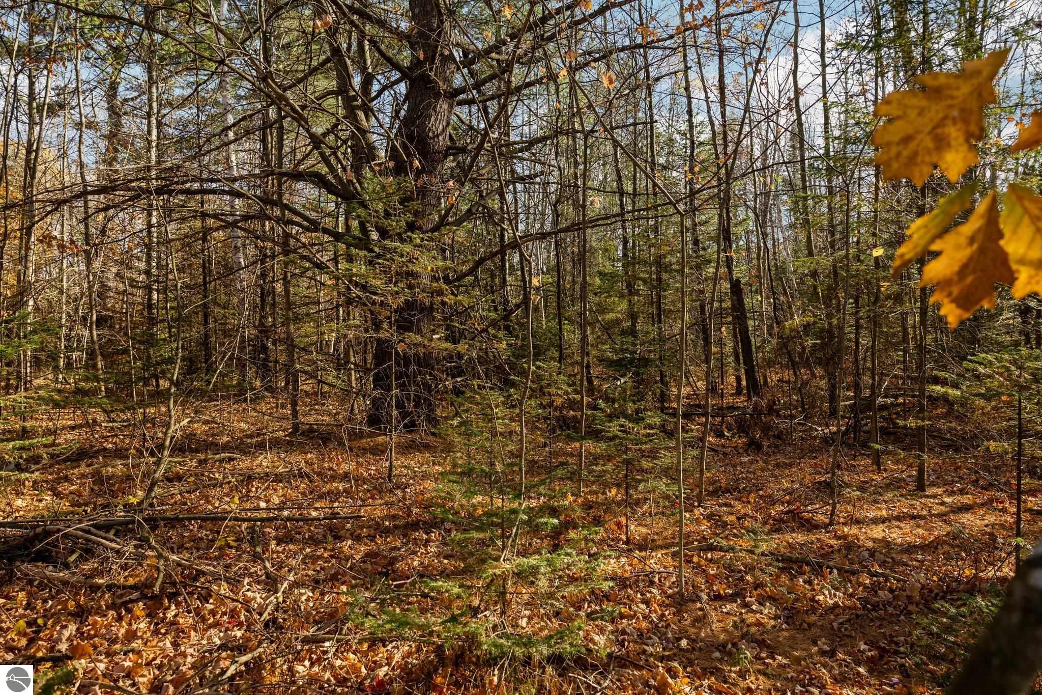 00 Manitou Trail