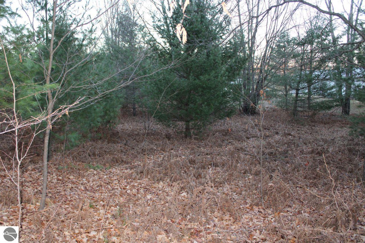 9396 SW Raspberry Ridge