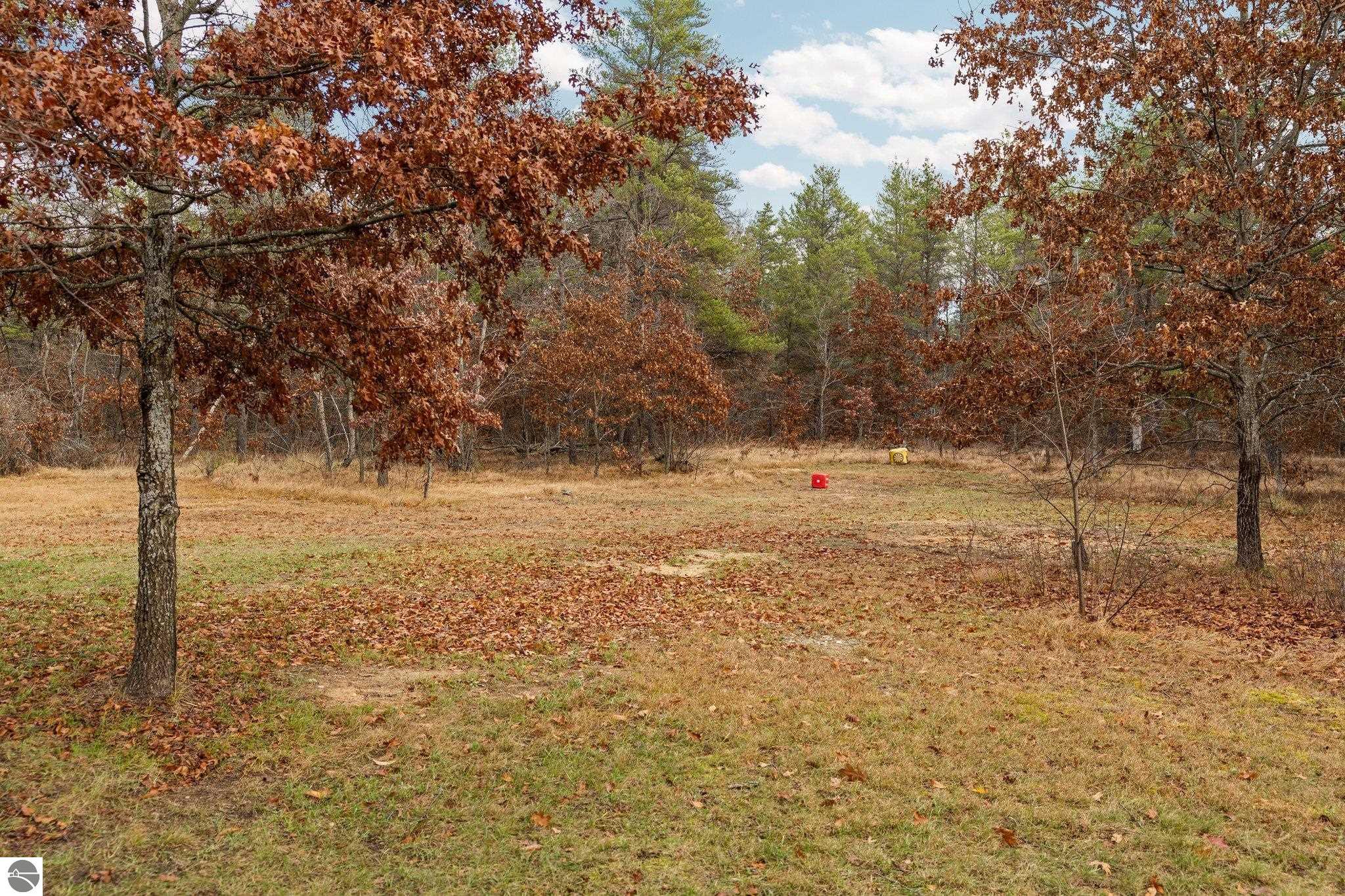 335 Red Tailed Hawk Loop
