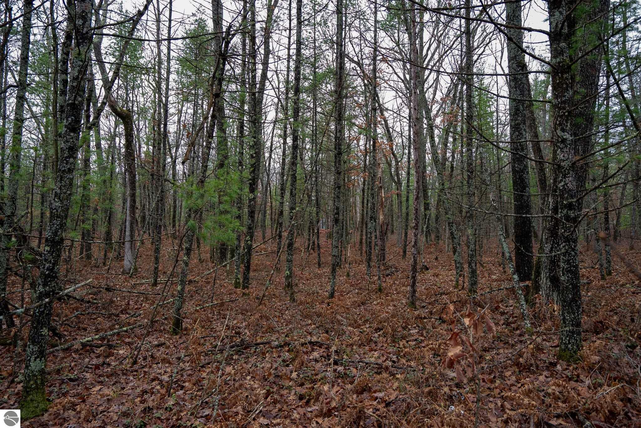 V/L W Jones Lake Road