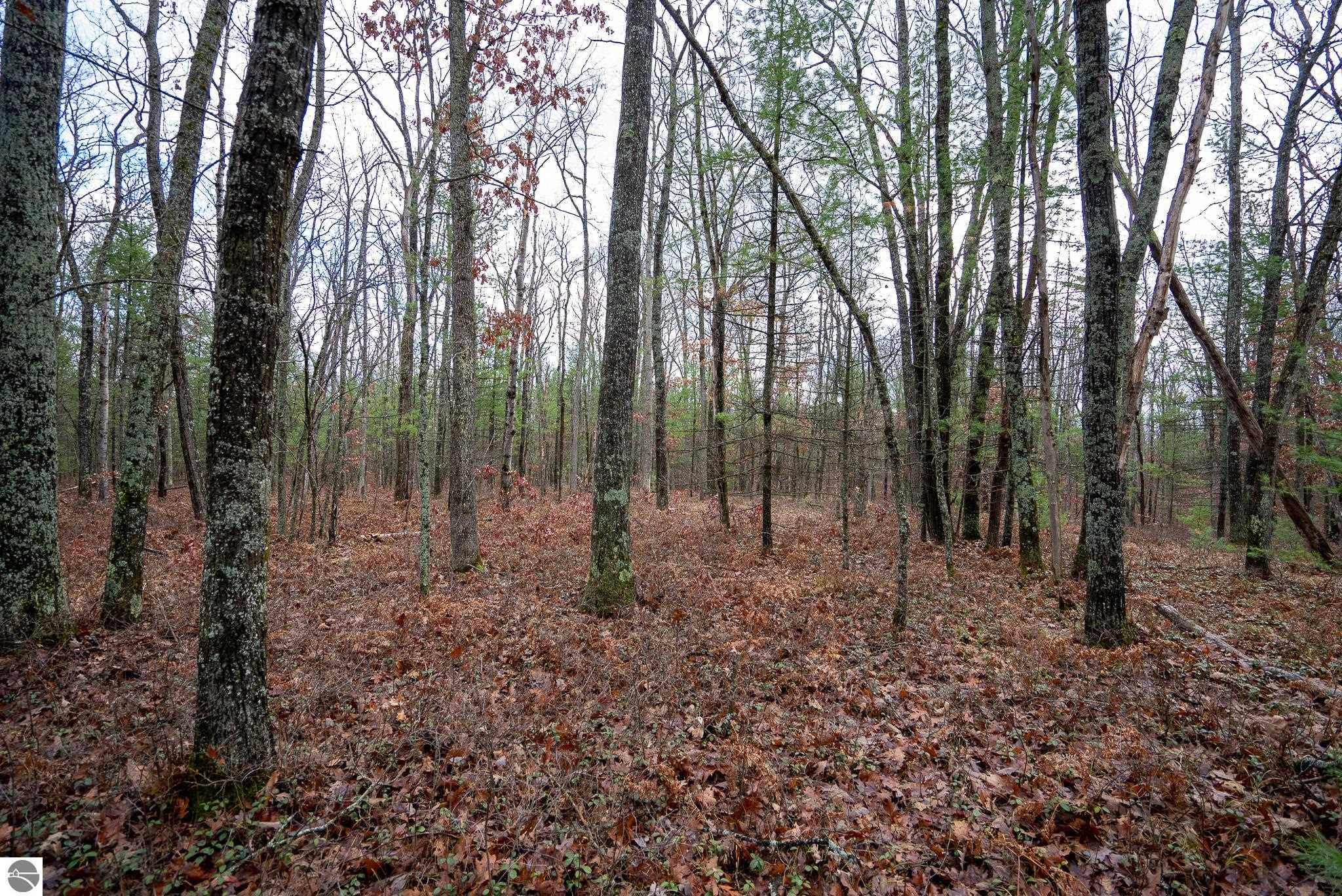 V/L W Jones Lake Road
