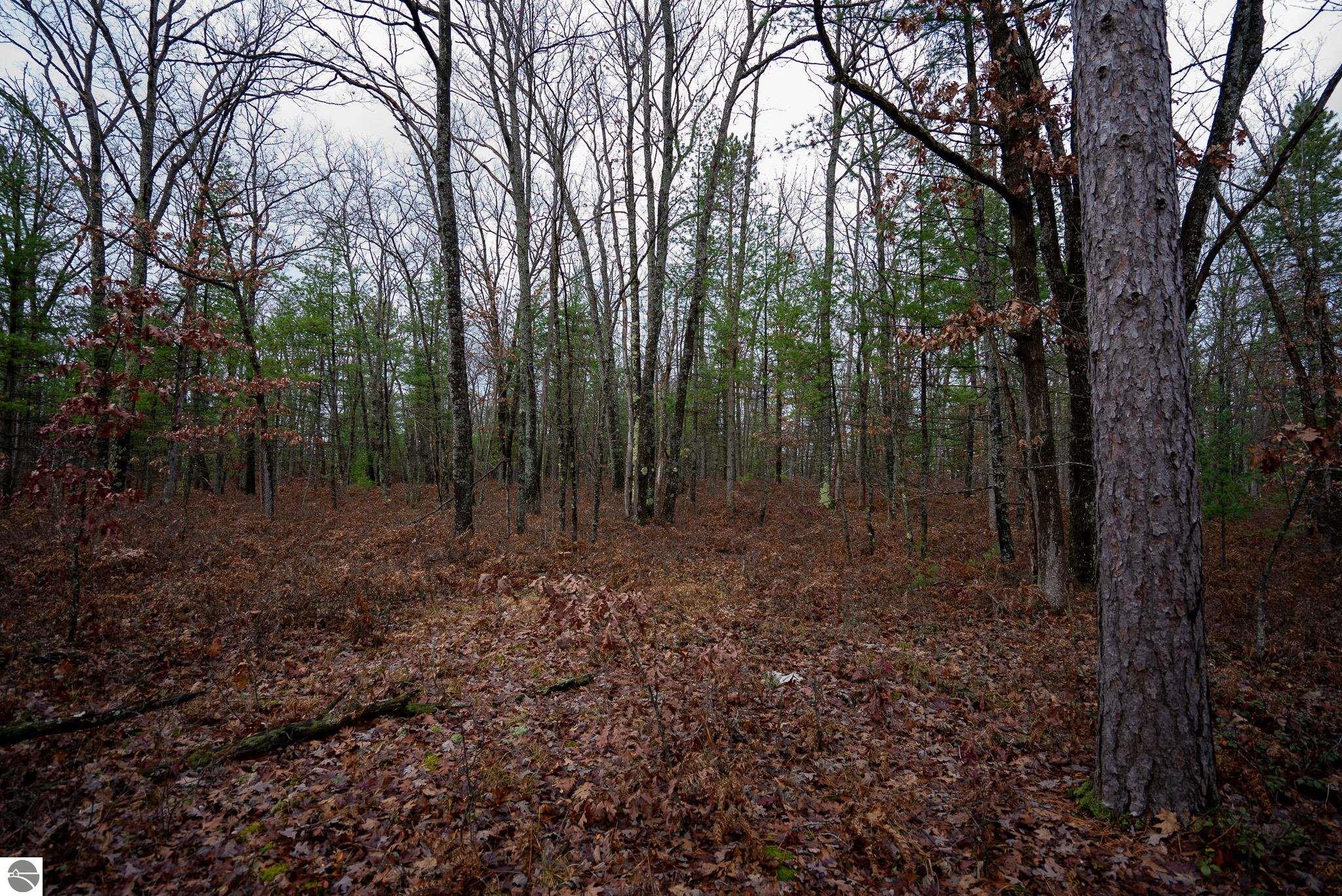 V/L W Jones Lake Road