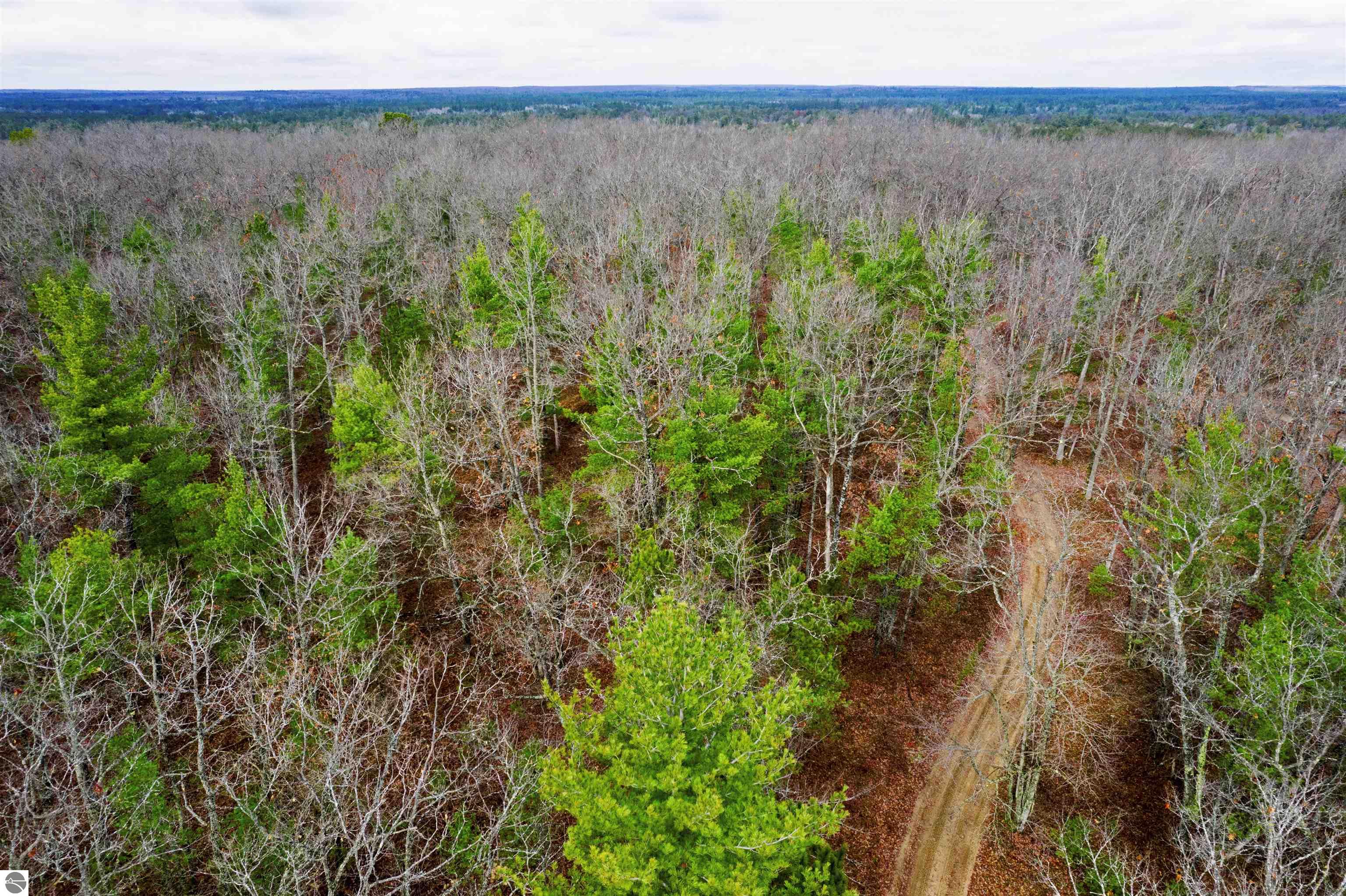 V/L W Jones Lake Road