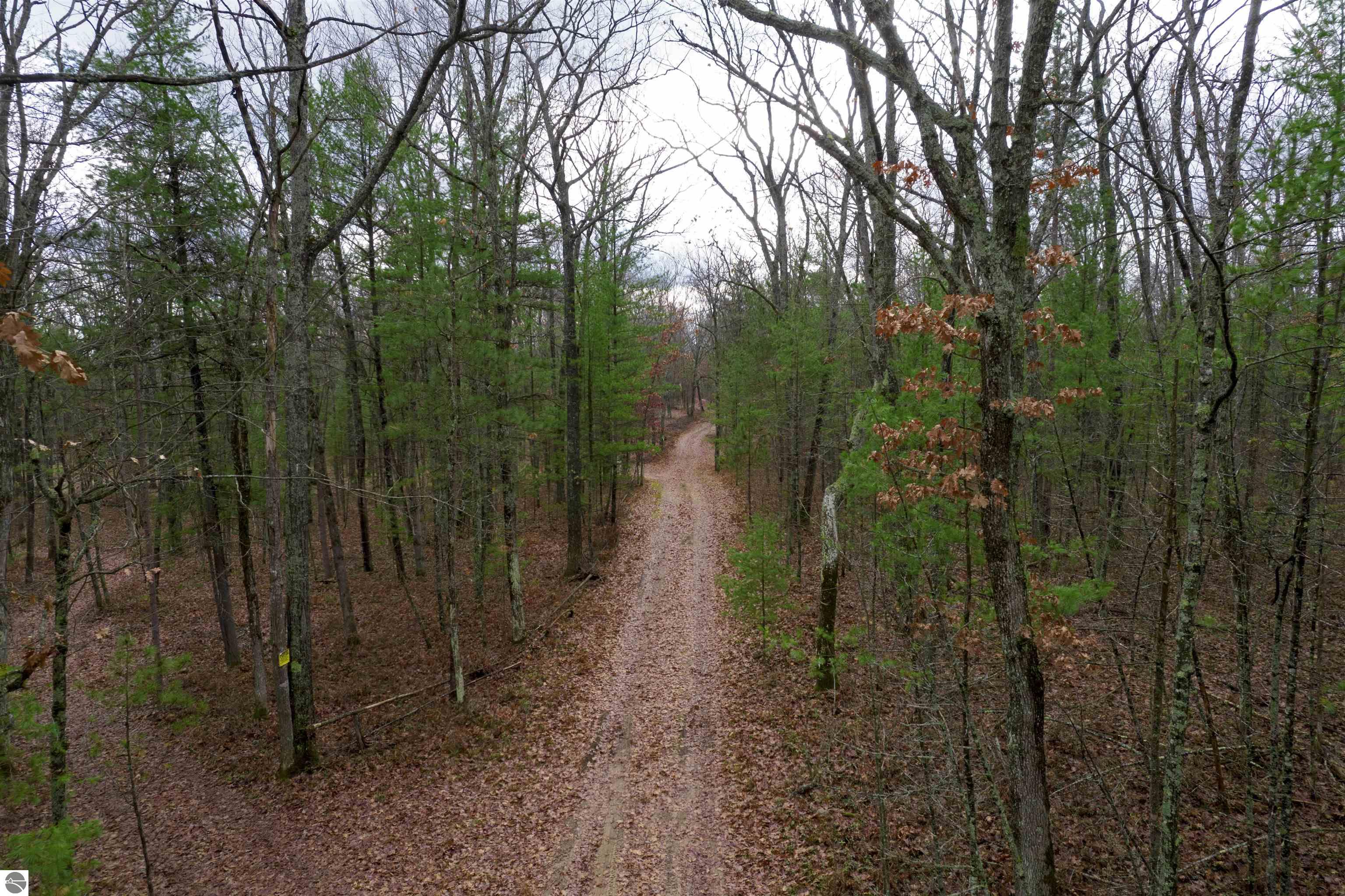 V/L W Jones Lake Road