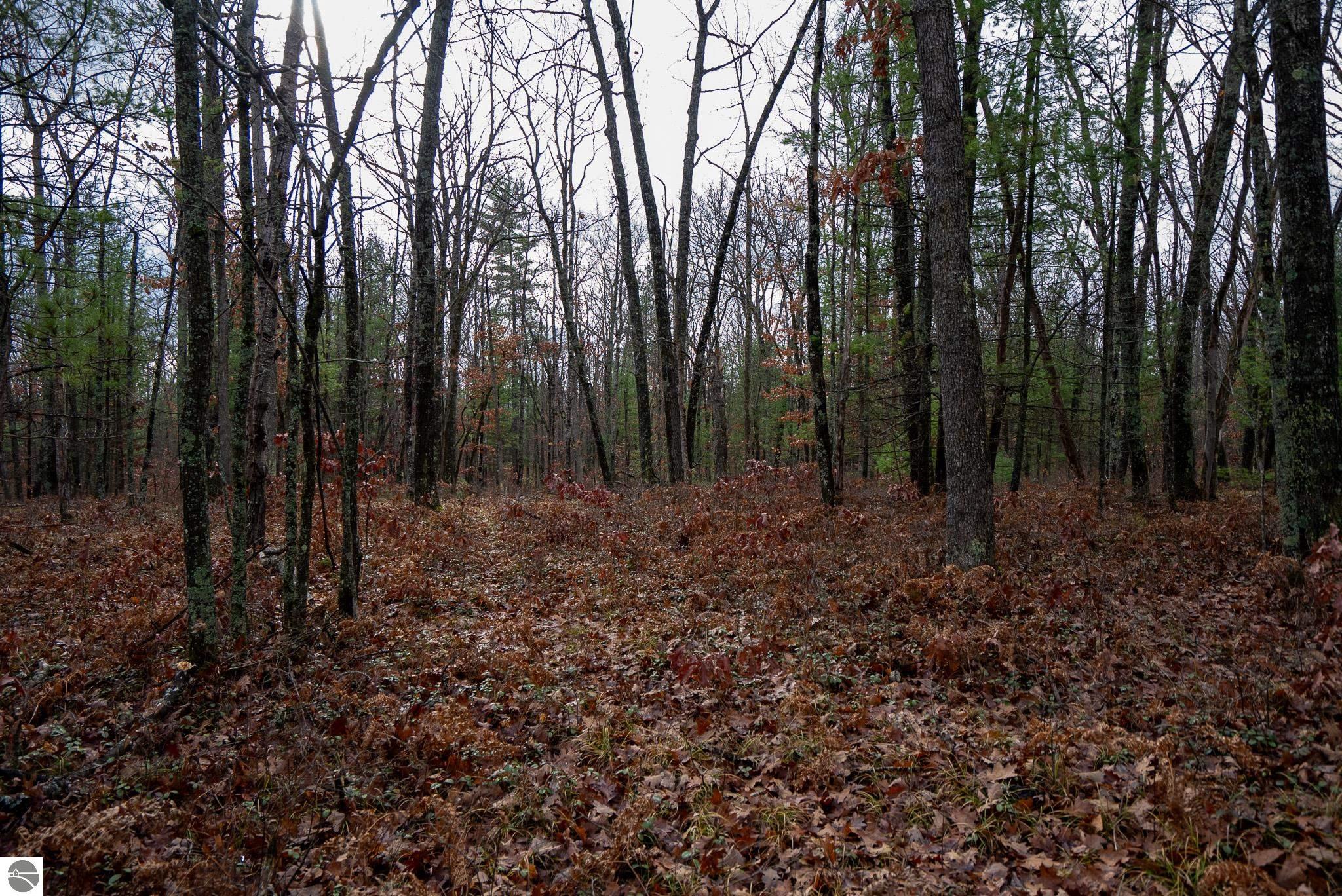 V/L W Jones Lake Road