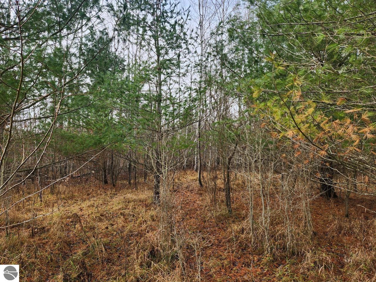 6473 Maplehill Road