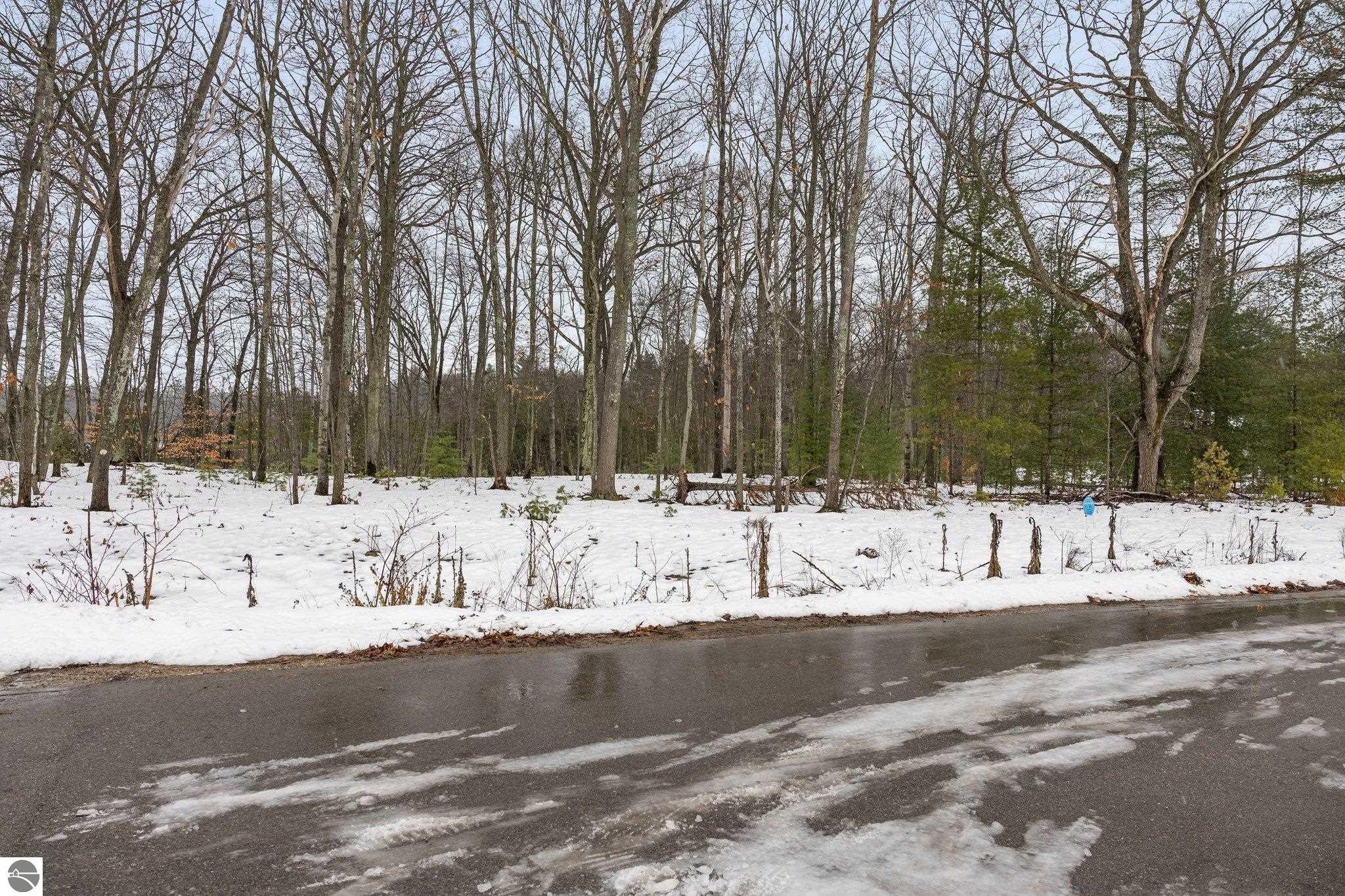 Old Cabin Drive
