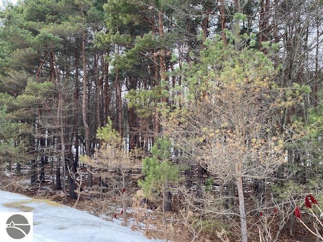 9910 County Road 633