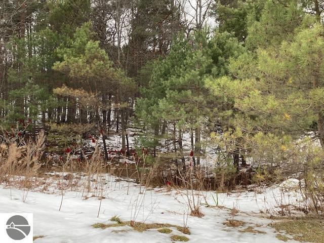 9910 County Road 633