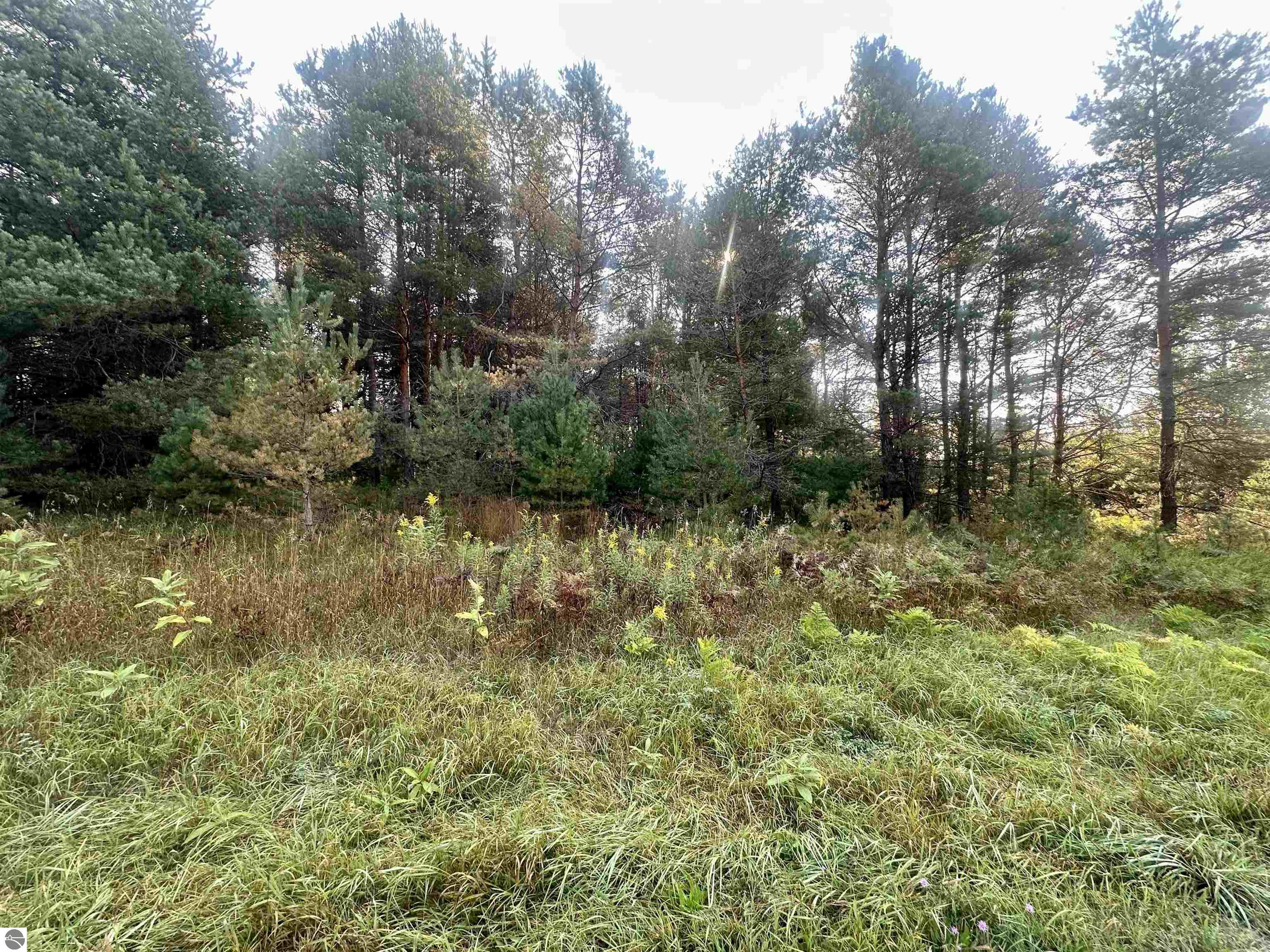 0 Ingersoll Road
