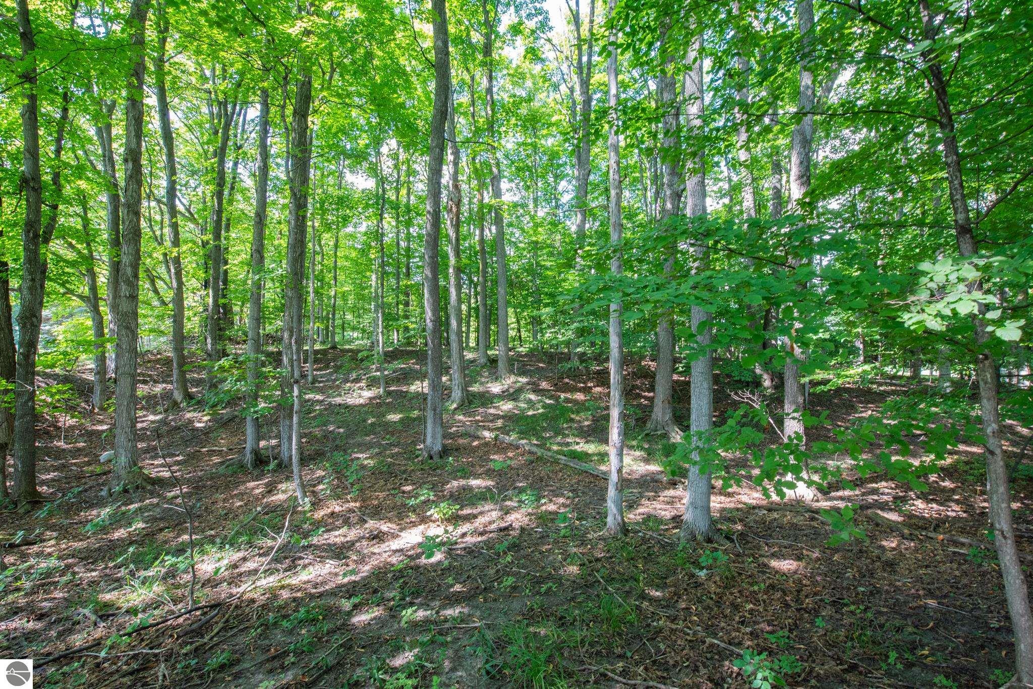 3300 Zimmerman Road