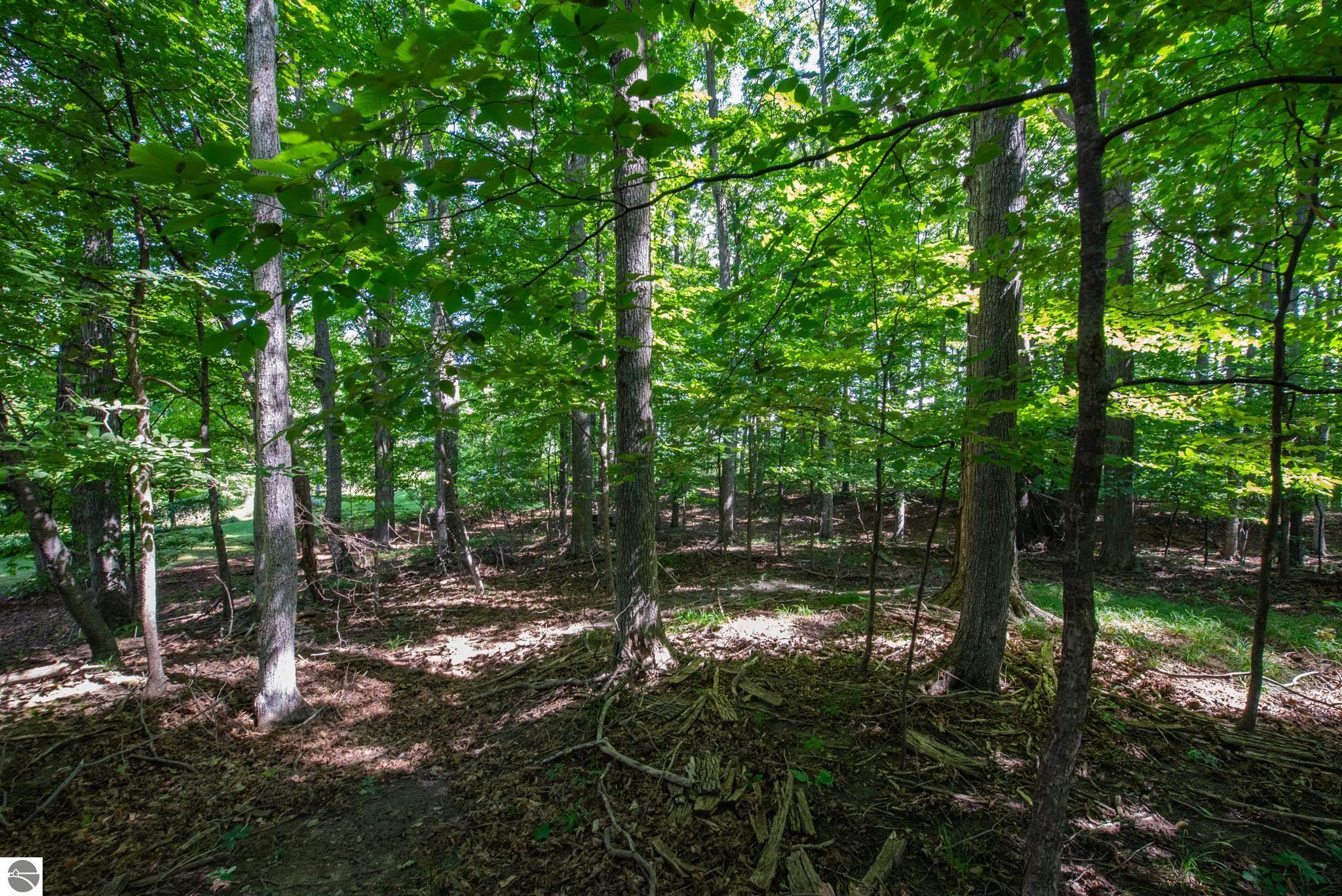 3300 Zimmerman Road