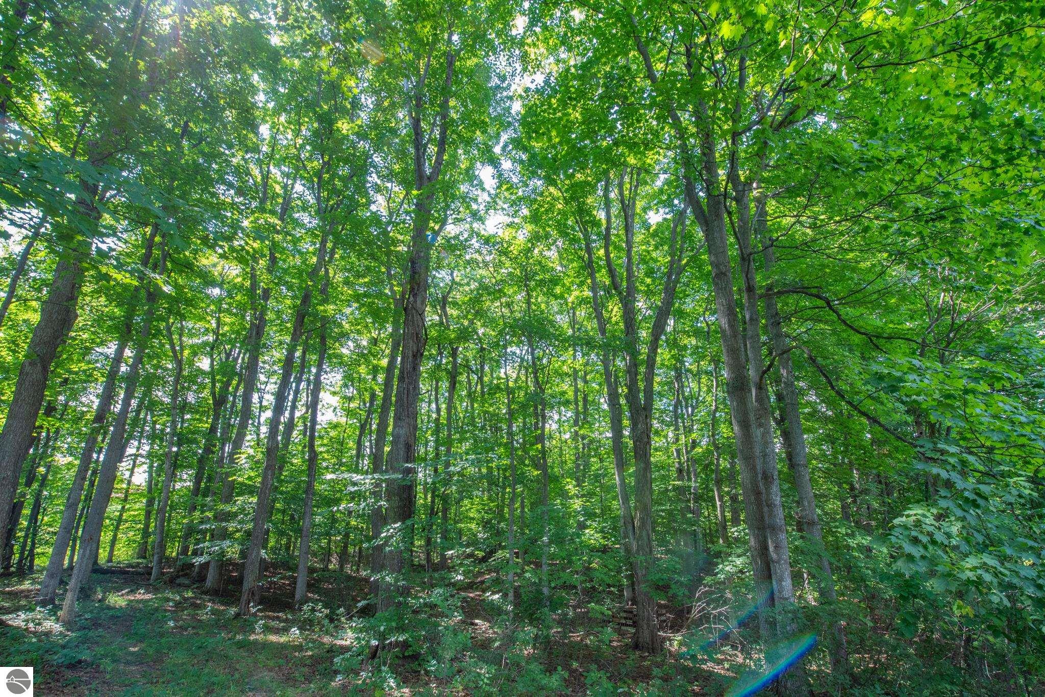 3300 Zimmerman Road