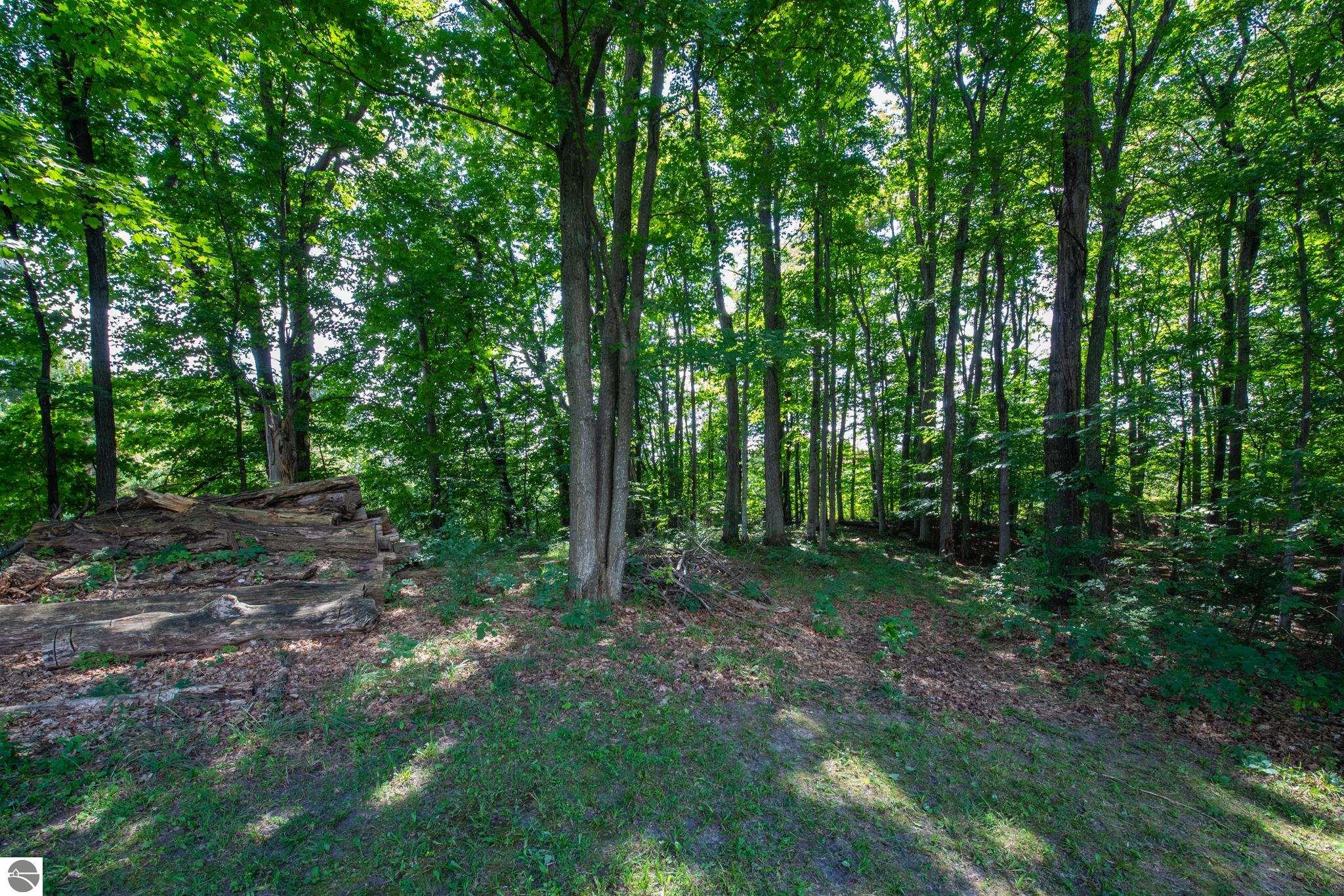 3300 Zimmerman Road