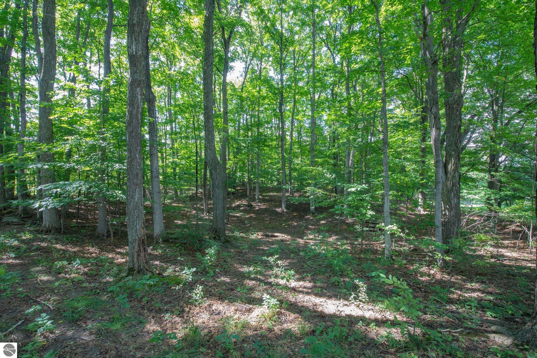 3300 Zimmerman Road