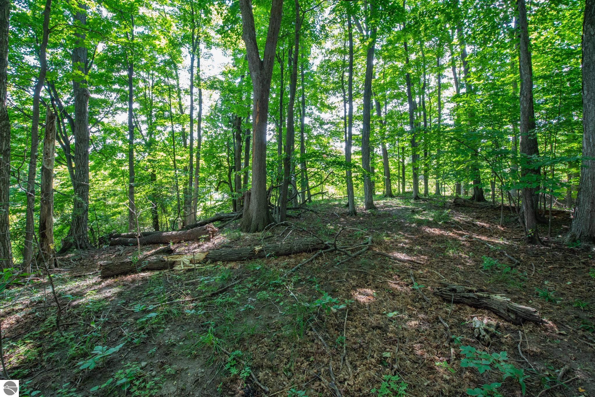 3300 Zimmerman Road