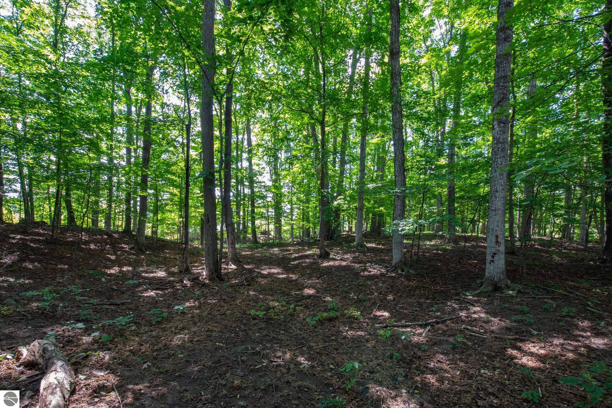 3300 Zimmerman Road