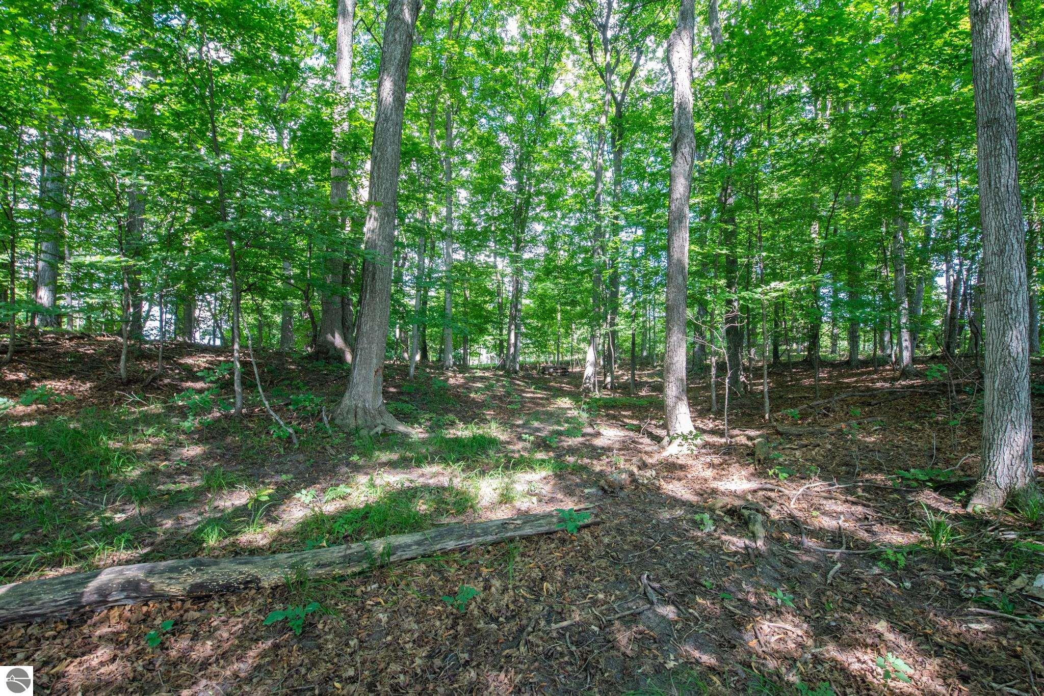 3300 Zimmerman Road